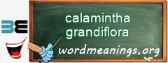 WordMeaning blackboard for calamintha grandiflora